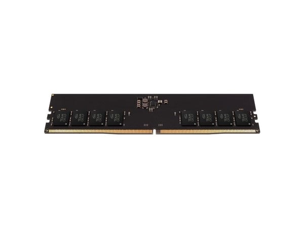Team Elite - DDR5 - modul - 32 GB - DIMM 288-pin - 5600 MHz / PC5-48000 - CL46 - 1.1 V - ikke-bufret - on-die ECC - svart