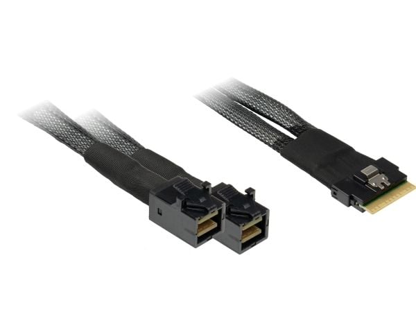 Inter-Tech Inter-Tech Kabelis SFF 8654-8x - SFF 8643-2x 0,75m