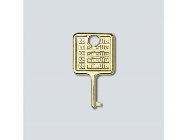 SIEDLE 210007018-00 nøkkel for informasjonsmodul IM 511- (210007018-00)