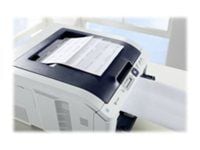 Avery Zweckform Universal - Papir - permanent klebemiddel - hvit - A6 (105 x 148 mm) 800 etikett(r) (200 ark x 4) etikett