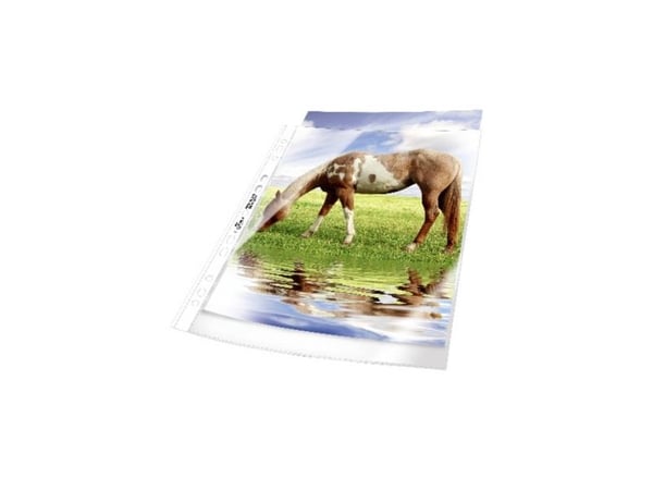 Durable 267719, Transparent, 50 styck