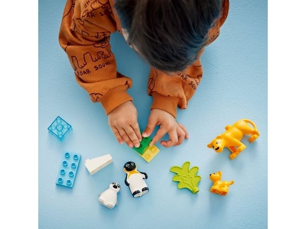 LEGO DUPLO Town 10442 Luonnoneläinperheet: pingviinit ja leijonat