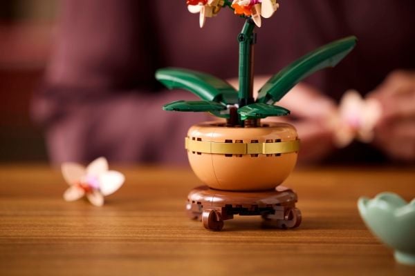 LEGO Botanicals 10343 Mini-orkidé