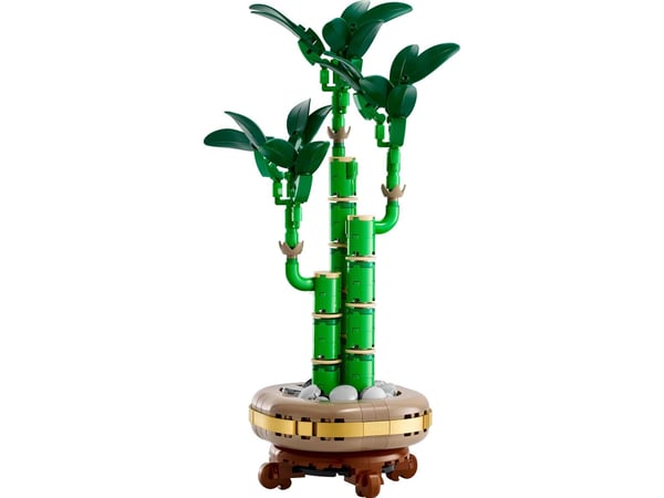 LEGO Botanicals 10344 Bambudracena