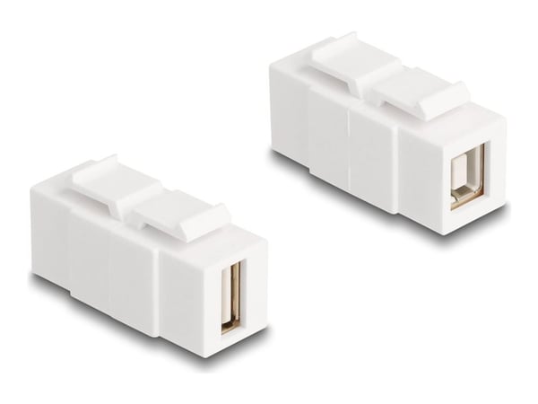 Delock - Modulinnlegg (kopling) - female to female, can be installed on both sides - USB 2.0 Type A, USB 2.0 Type B - hvit