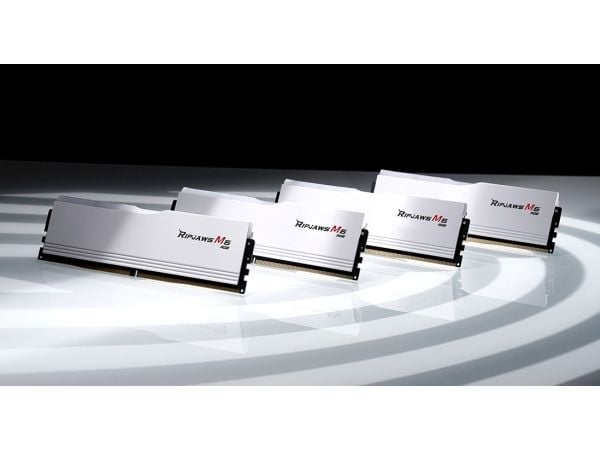 G.Skill Ripjaws M5 RGB - DDR5 - sett - 32 GB: 2 x 16 GB - DIMM 288-pin - 3000 MT/s / PC5-48000 - CL36 - 1.35 V - ikke-bufret - on-die ECC - matt hvit