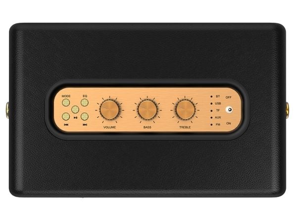 Tracer M30 - Høyttaler - for bærbar bruk - 2.0-kanal - trådløs - Bluetooth - 30 watt - svart
