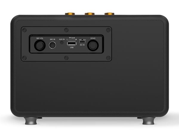 Tracer M30 - Høyttaler - for bærbar bruk - 2.0-kanal - trådløs - Bluetooth - 30 watt - svart