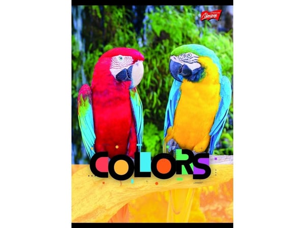 MAJEWSKI A5 anteckningsbok 32k - rutlinjer laminerad Exotic Colors - 15, blandat pris per st