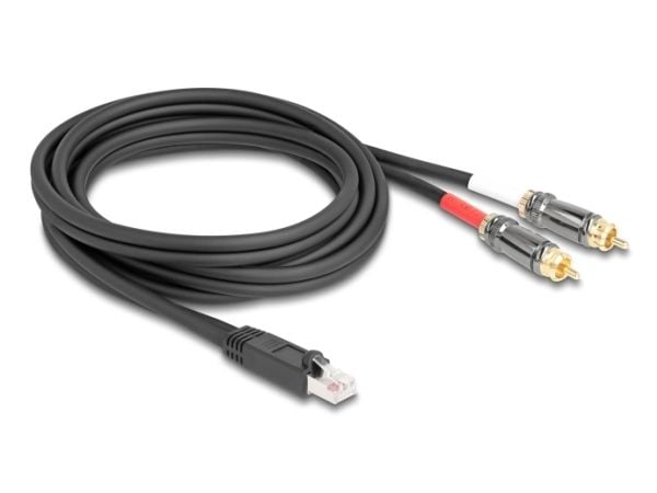 Delock - Audioadapter - RJ-45 hann til RCA hann - 2 m - svart