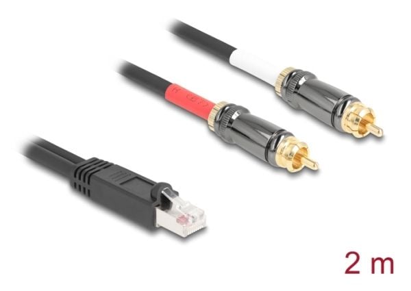 Delock - Audioadapter - RJ-45 hann til RCA hann - 2 m - svart