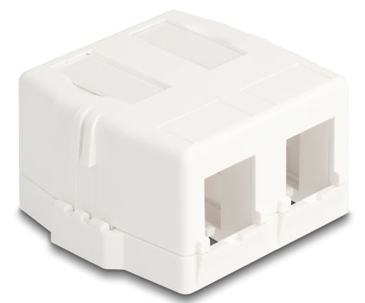 Delock Keystone tomkapsling 2 portar med magnetisk undersida, vit