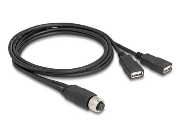 DeLOCK 60290, 1 m, M12, 2 x USB Type-A, Honkoppling/Honkoppling, Svart, 24/28