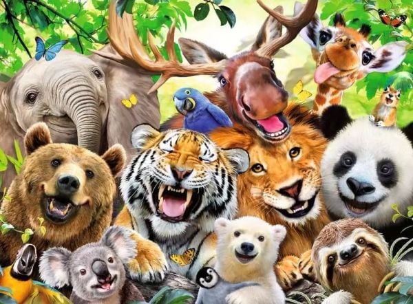 Ravensburger 13354