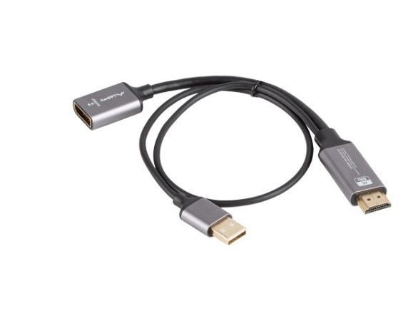 Lanberg - Video adapter - DisplayPort hunn til HDMI hann - 20 cm - sølv - 4K(3840 x 2160) støtte