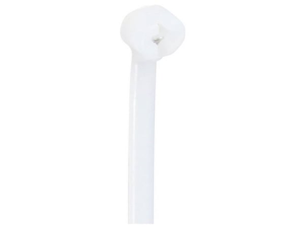 TRU COMPONENTS TC-12814144 Kaapelinside 100 mm 3 mm Luonnonvärinen Metallitapilla, kemikaalinkestävä 100 kpl