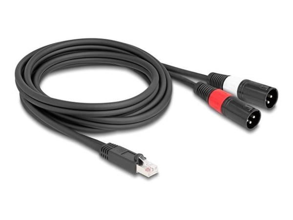 Delock - Nettverkskabel - RJ-45 (hann) plug til XLR3 (hann) plug - 2 m - 6 mm - skjermet - CAT 5 - svart