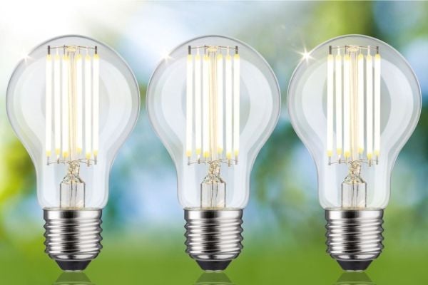 Paulmann 29220, 5 W, 75 W, E27, 1055 lm, 50000 h, Varmvit