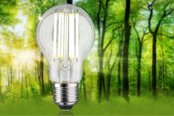 Paulmann 29221, 5 W, 75 W, E27, 1055 lm, 50000 timer, Nøytral hvit