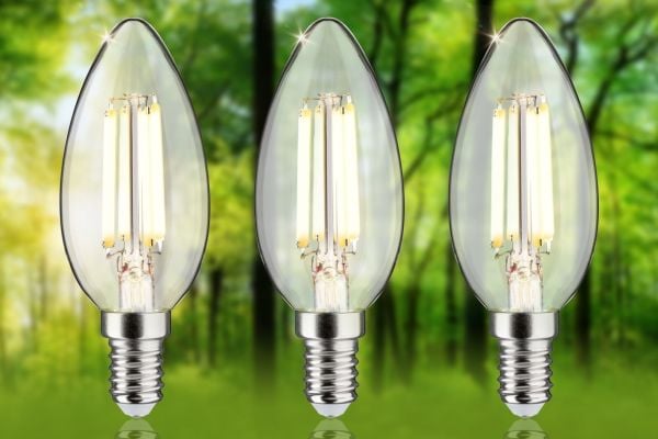 Paulmann 29199, 2,5 W, 43 W, E14, 525 lm, 50000 timer, Varm hvit