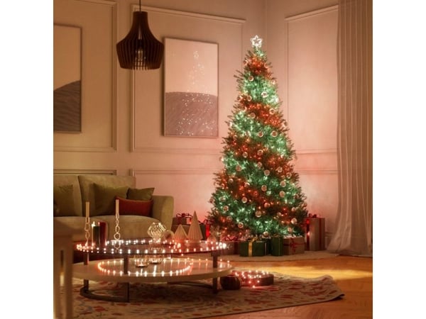Twinkly Strings (Multicolor + White), Smart ljusslinga, Wi-Fi/Bluetooth, Transparent, U-formad, Multi, Vit, 16000000 färger