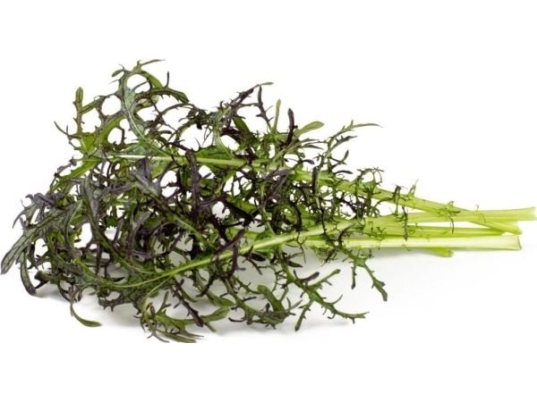 Click & Grow SGR77x3, Syötävä kasvi, Leaf mustard (Red Frill), Aloituspakkaus, 7 - 14 päivää, 18 - 24 °C, 3 kpl