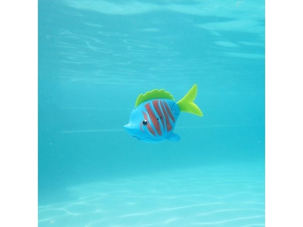 Swim Ways Rainbow Reef Fish – Beta Fish