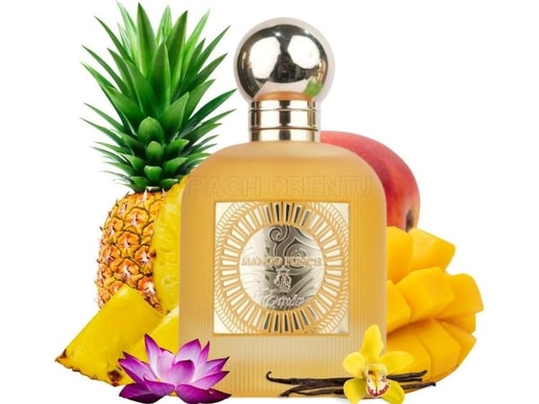 Paris Corner - Emir Mango Punch EDP U 100 ml