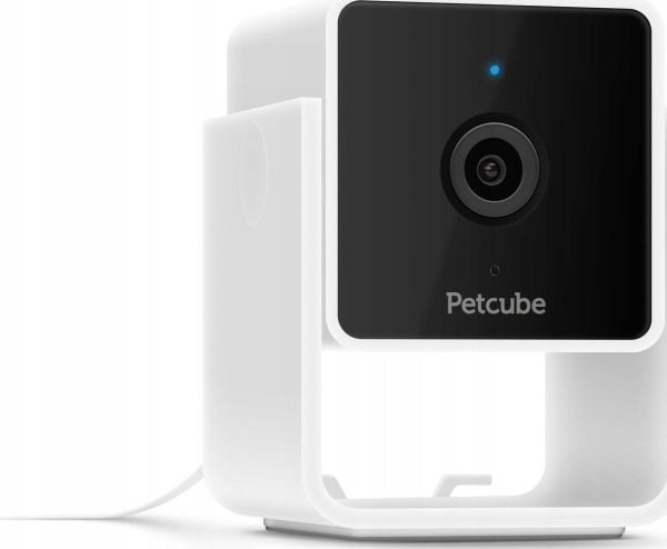 Petcube - - 1