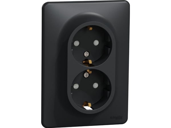 Schneider Socket 2Pl Sdd314221 Antra