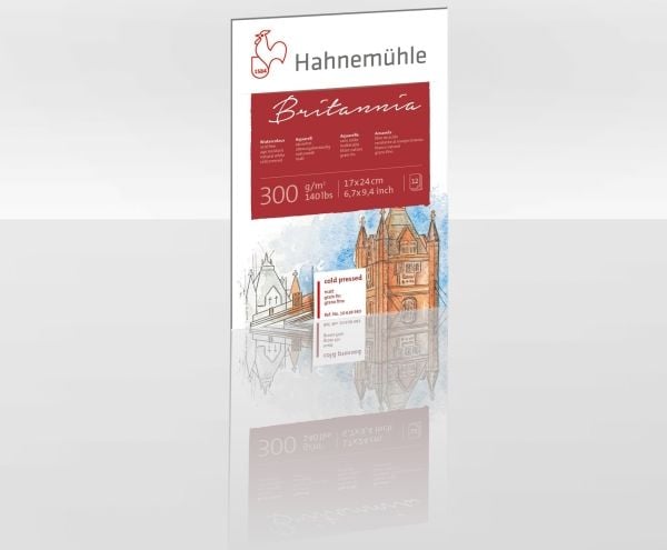 Hahnemühle 10628983, Taidepaperi, 300 g/m², 12 arkkia