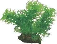 Hobby Dekorväxt Egeria 13cm 13cm