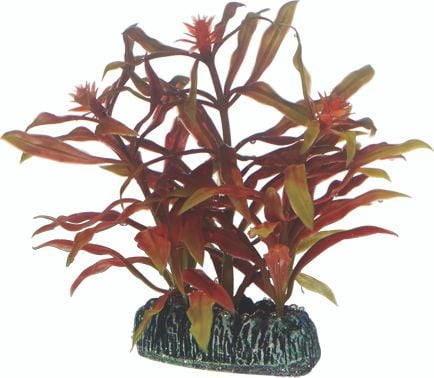 Hobby Dekorväxt Nesaea 7cm 7cm