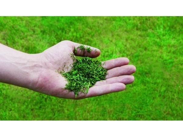 Einhell GC-PM 56/2 S HW, Gressklipper som man spaserer bak, 56 cm, 2,5 cm, 7 cm, 2200 m², 1,2 l
