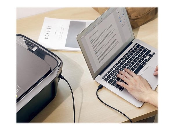 Ugreen 10352, 3 m, USB A, USB B, USB 2.0, 480 Mbit/s, Lajittelu