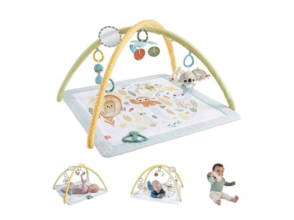 Fisher Price Sensimals Simply Senses Newborn Gym