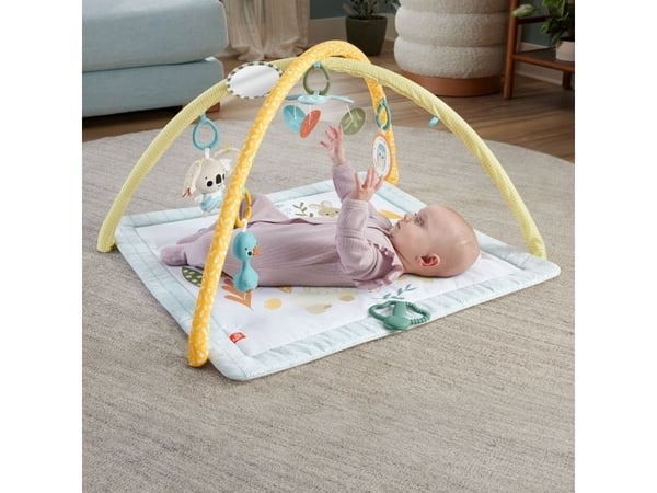 Fisher Price Sensimals Simply Senses Newborn Gym