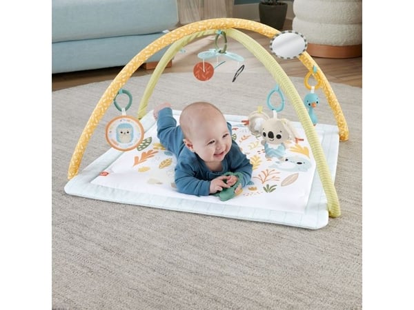 Fisher Price Sensimals Simply Senses Newborn Gym