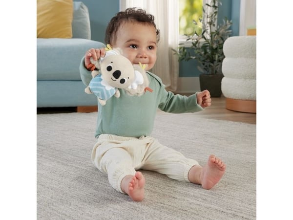 Fisher Price Sensimals Simply Senses Newborn Gym