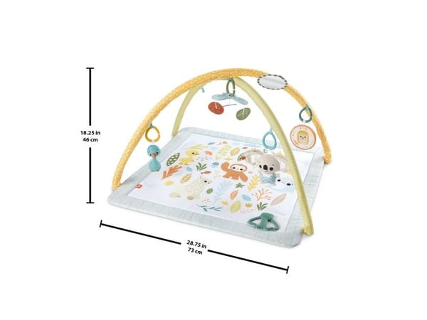 Fisher Price Sensimals Simply Senses Newborn Gym