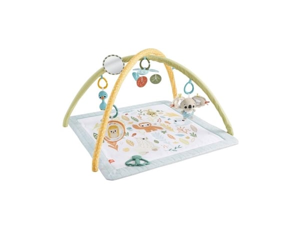 Fisher Price Sensimals Simply Senses Newborn Gym