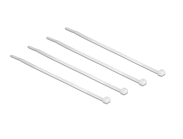 DeLOCK 18605, Nailon, 100 mm, 2,5 mm, 100 kpl