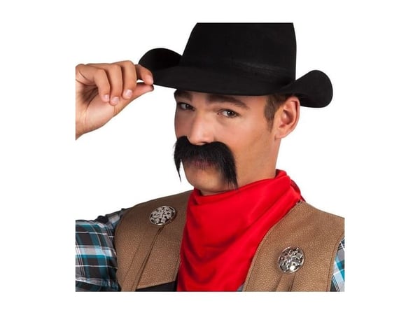 Aster Wasy cowboy univ
