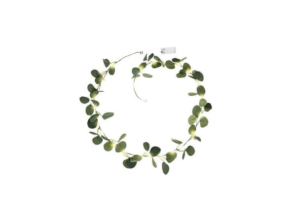 LED Eukalyptus seppele