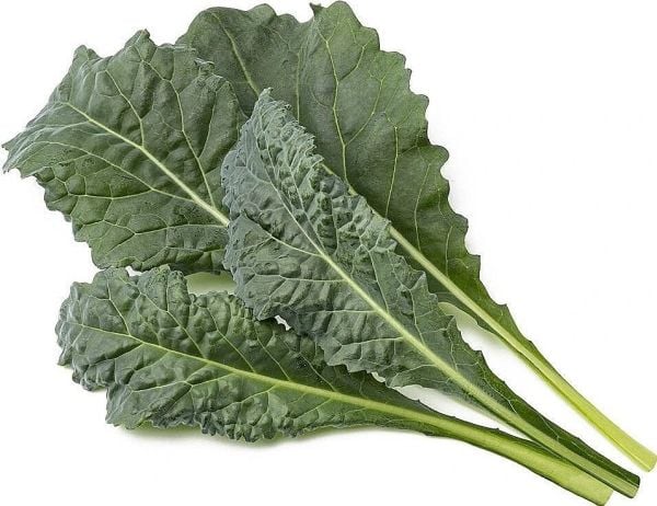 Click & Grow Smart Refill Italian Kale 3kpl Click & Grow Smart Refill Italian Kale 3kpl