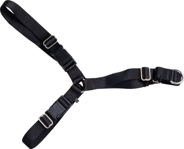Hundsele Large