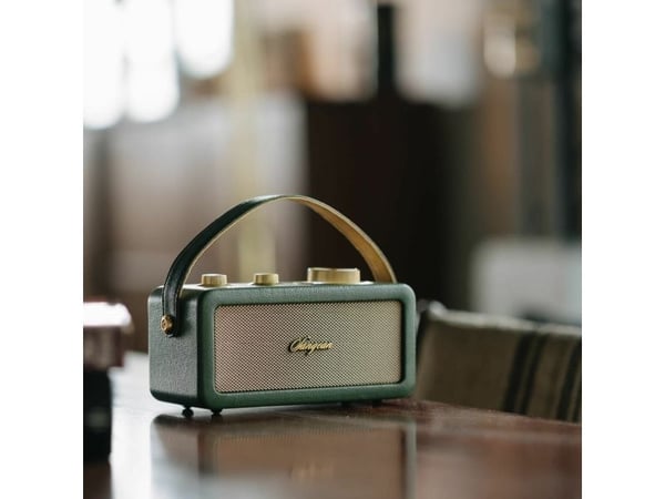 Sangean RA-101, Bærbar, Analog, FM, 10 W, 5,7 cm, 4 O