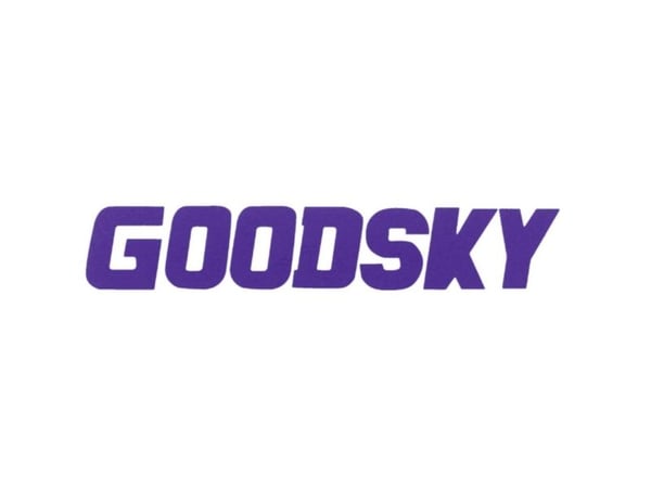 GoodSky printrelé GS-SH-224D 24 V/DC 2 A 2 x omkobler 1 stk rør
