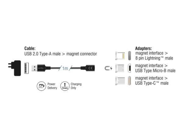 Delock - USB-ladeadaptersett - USB (hann) til Micro-USB type B, Lightning, 24 pin USB-C (hann) magnetisk - USB 2.0 - 5 V - 3 A - 1 m - svart