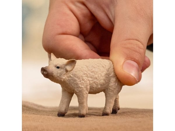 Schleich Mangalica grisunge